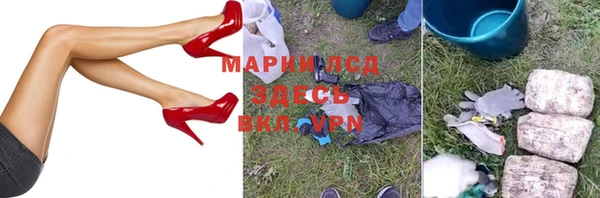 apvp Алзамай