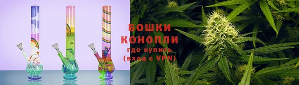 apvp Алзамай