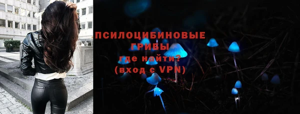 гашик Абинск