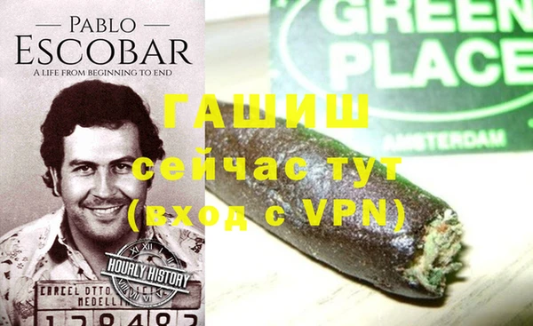 гидра Абаза