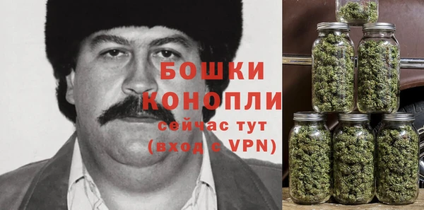 гидра Абаза