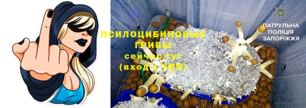 гашик Абинск