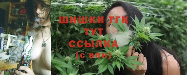 гидра Абаза