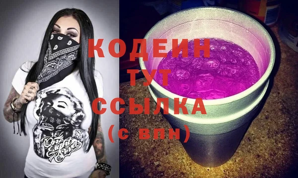 гидра Абаза