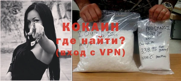 гидра Абаза