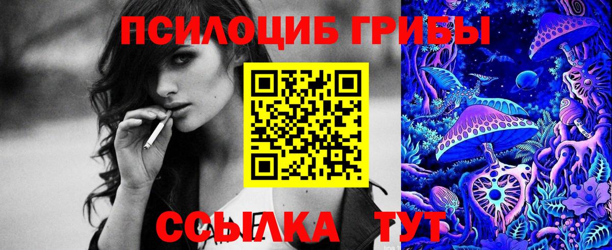 Кызыл  Псилоцибиновые грибы мухоморы  Вход с VPN 